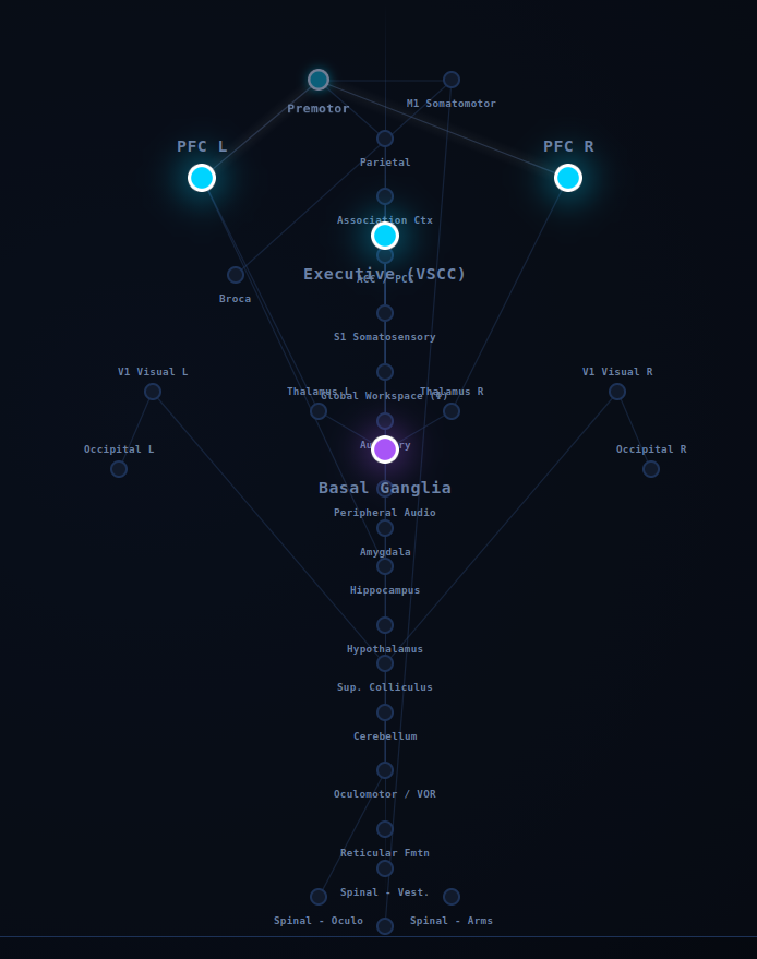 Connectome Studio Static View