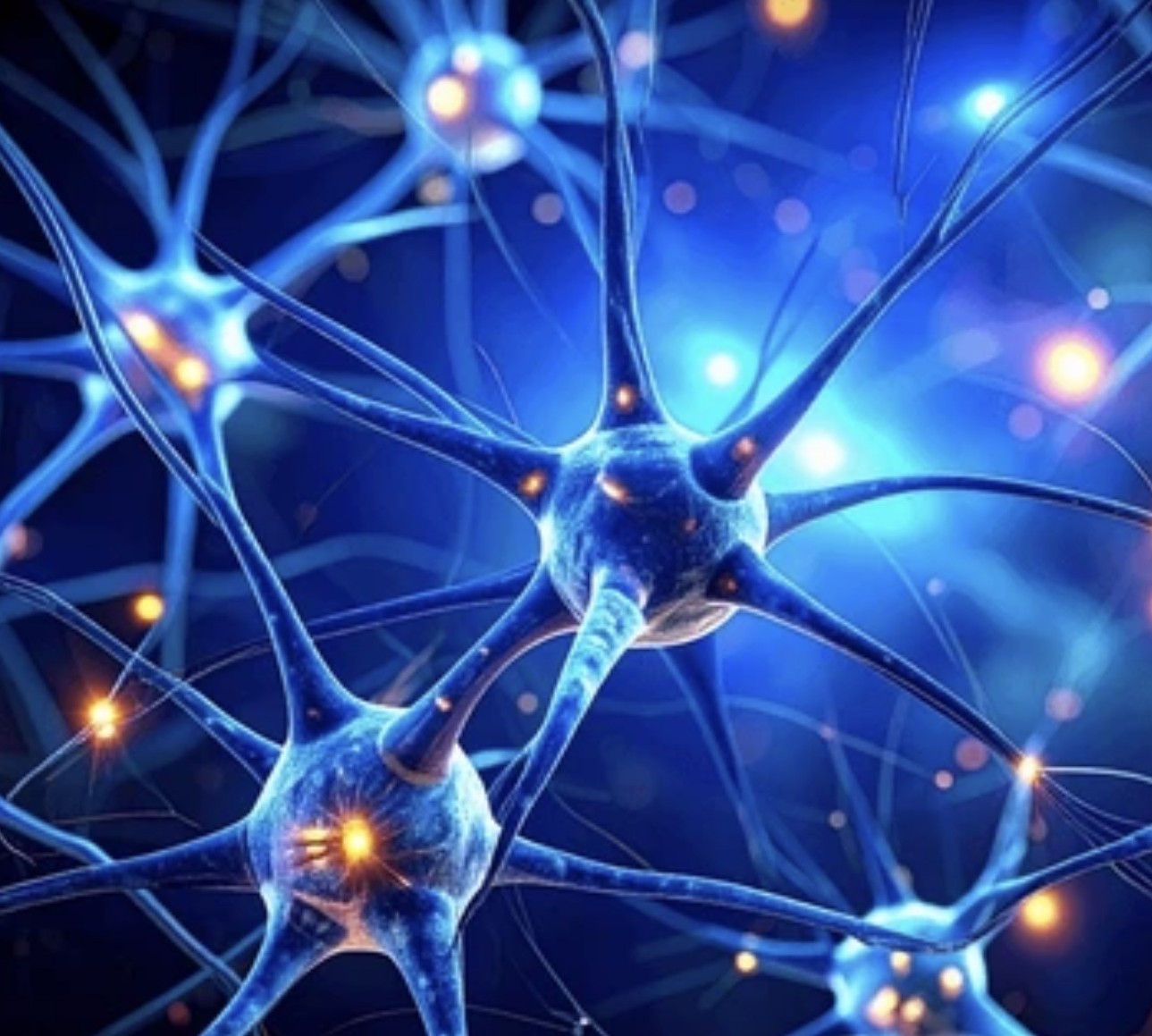 Blue Neural Network